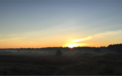 Lente doet leven