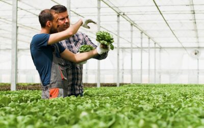 Betrouwbare vertalingen voor de agrarische sector in 2024